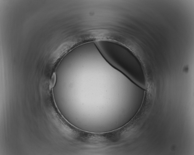 X0000116880397200912291246