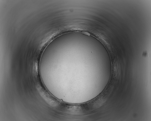 X0000116880398200912291246