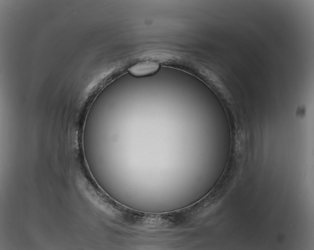 X0000116880399200912291246