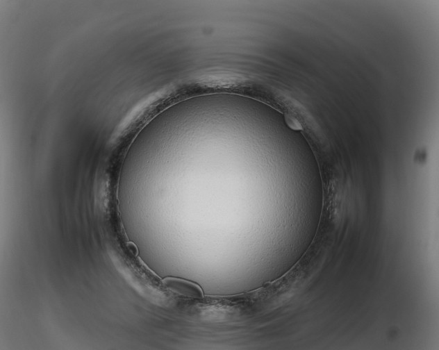 X0000116880400200912291246