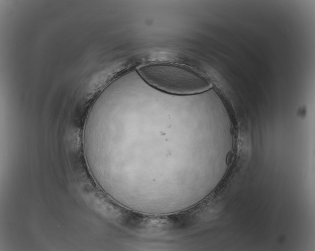 X0000116880401200912291246