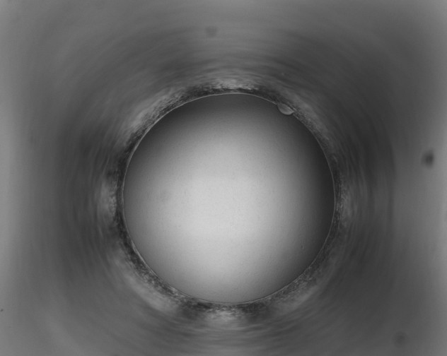 X0000116880402200912291246