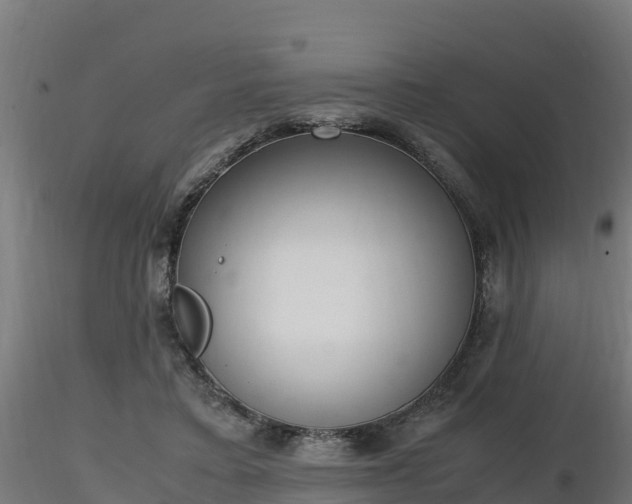 X0000116880403200912291246