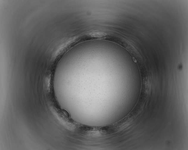 X0000116880404200912291246
