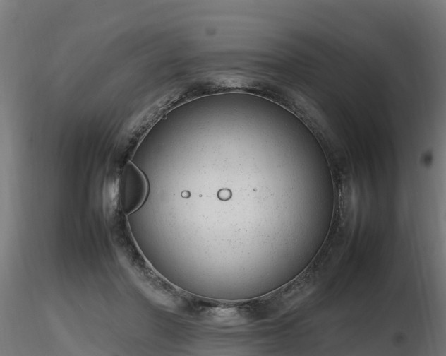 X0000116880406200912291246