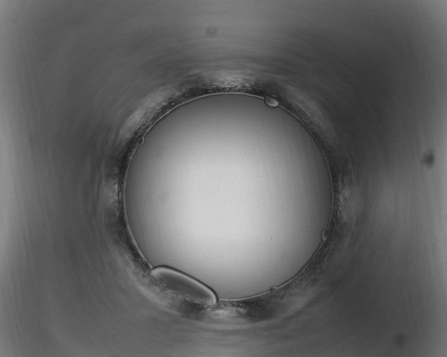 X0000116880407200912291246