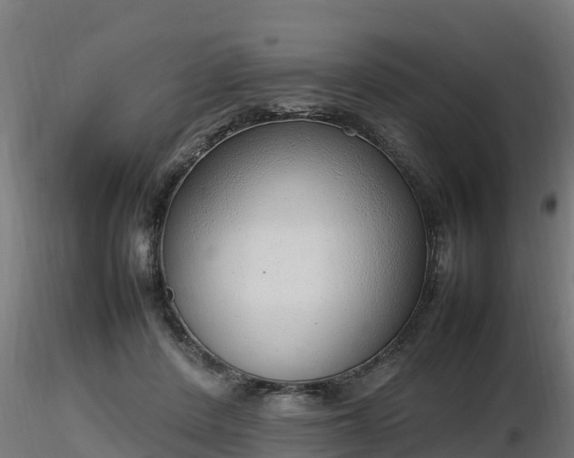 X0000116880408200912291246