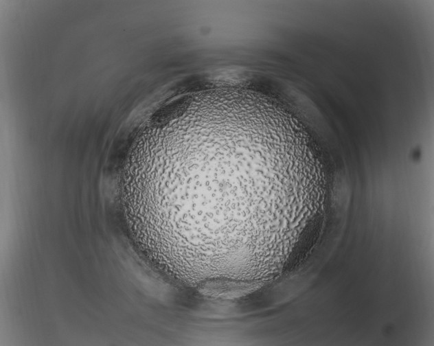 X0000116880409200912291246