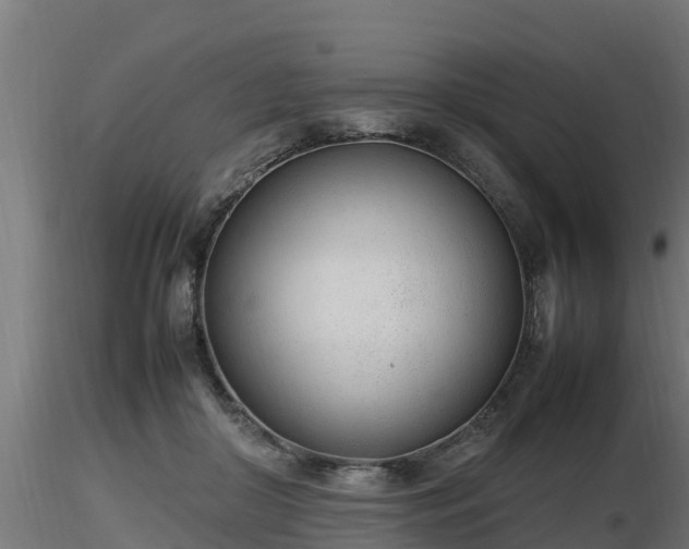 X0000116880410200912291246