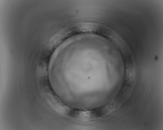 X0000116880411200912291246