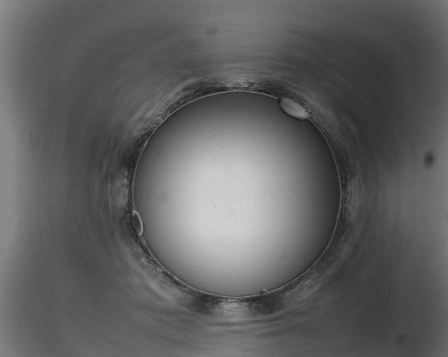 X0000116880413200912291246