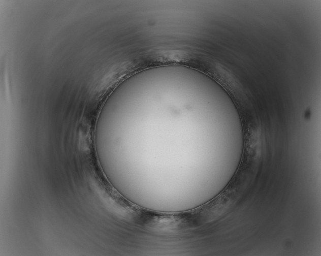 X0000116880414200912291246