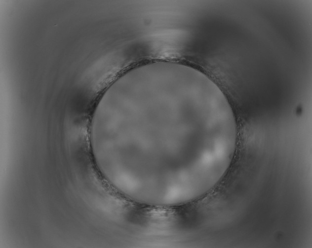 X0000116880415200912291246