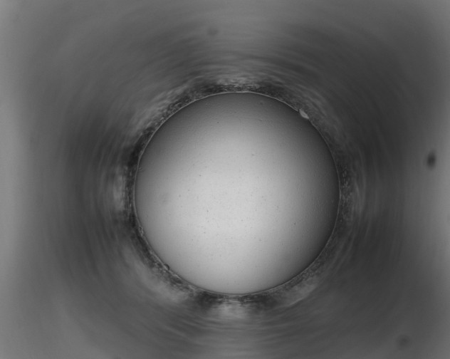 X0000116880416200912291246