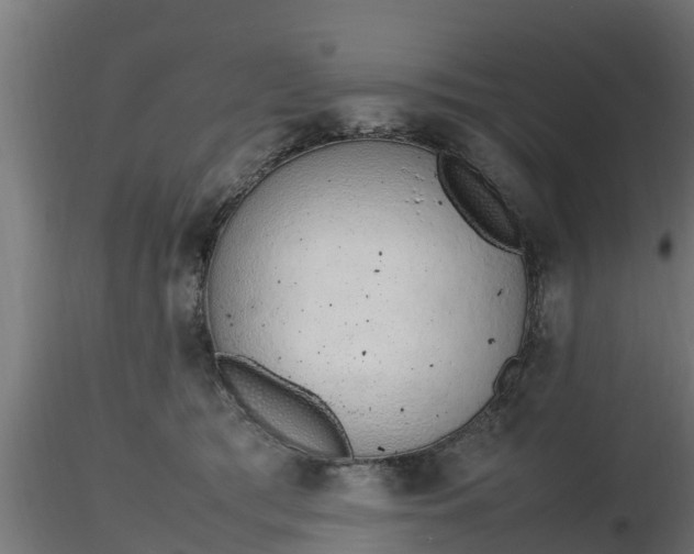 X0000116880417200912291246