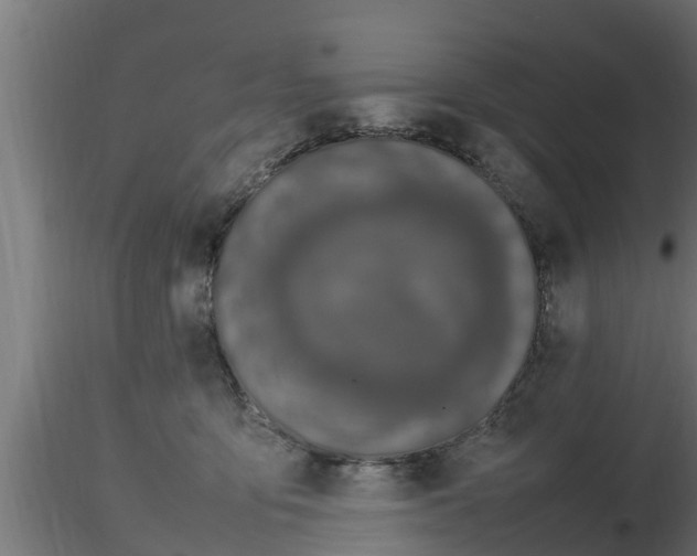 X0000116880419200912291246