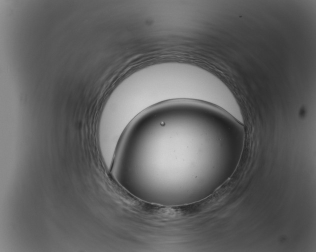 X0000116880421200912291246
