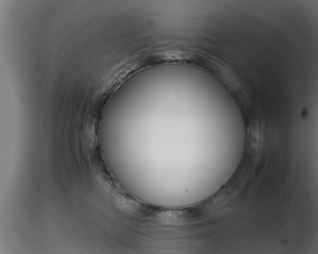 X0000116880422200912291246
