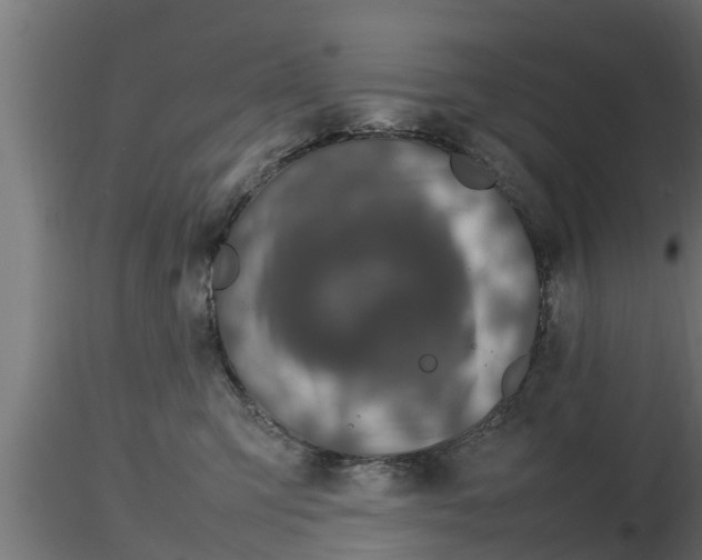 X0000116880423200912291246