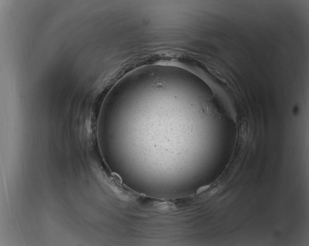 X0000116880424200912291246