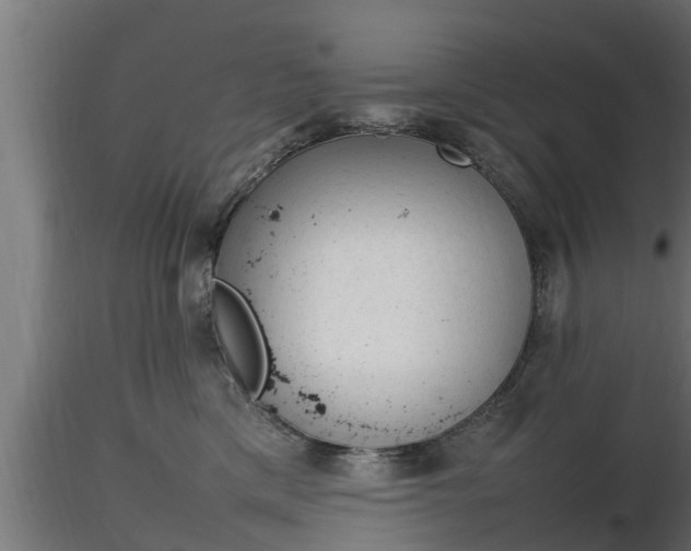 X0000116880425200912291246