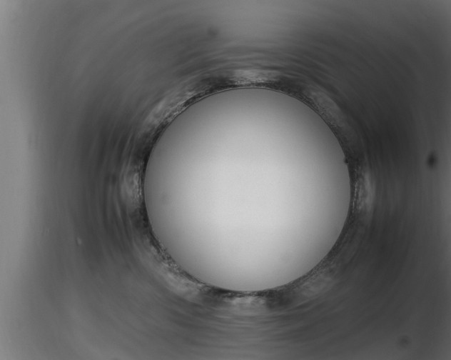 X0000116880426200912291246