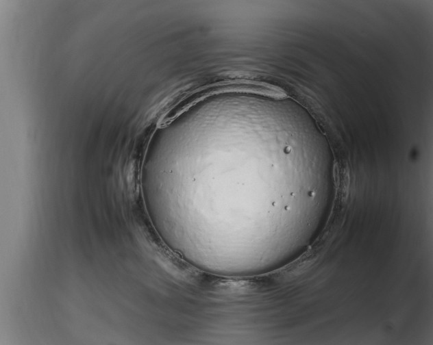 X0000116880428200912291246