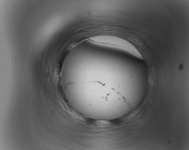X0000116880429200912291246