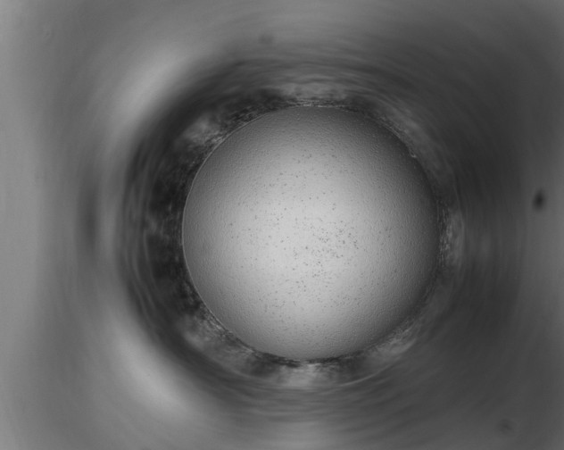 X0000116880430200912291246