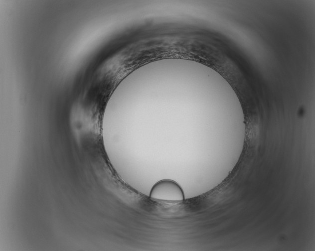 X0000116880431200912291246