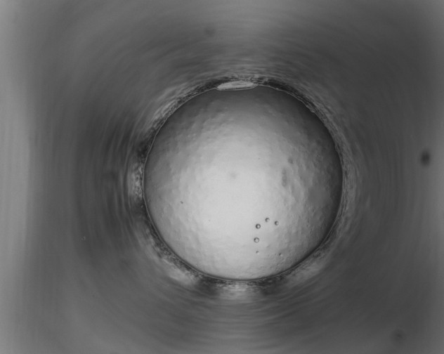 X0000116880432200912291246