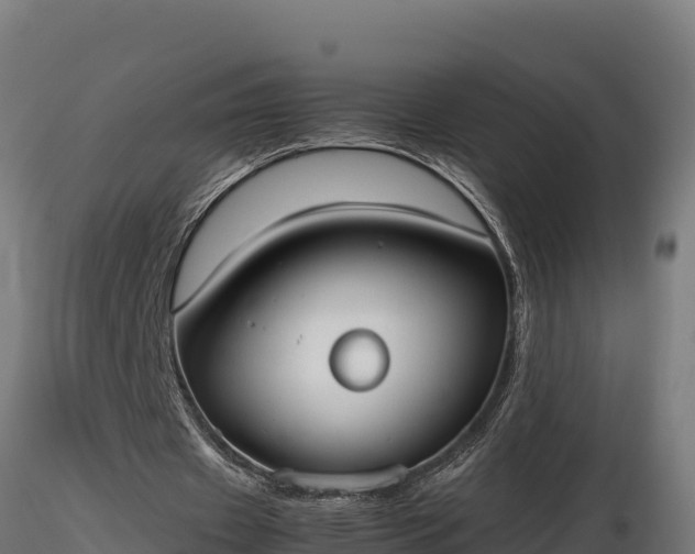X0000116880433200912291245