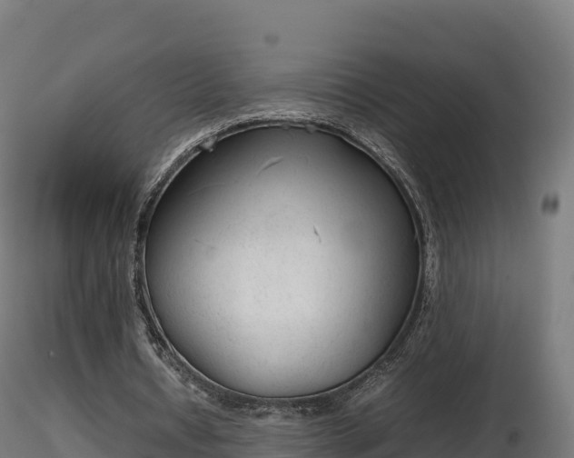 X0000116880434200912291245