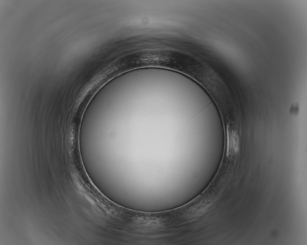 X0000116880435200912291245