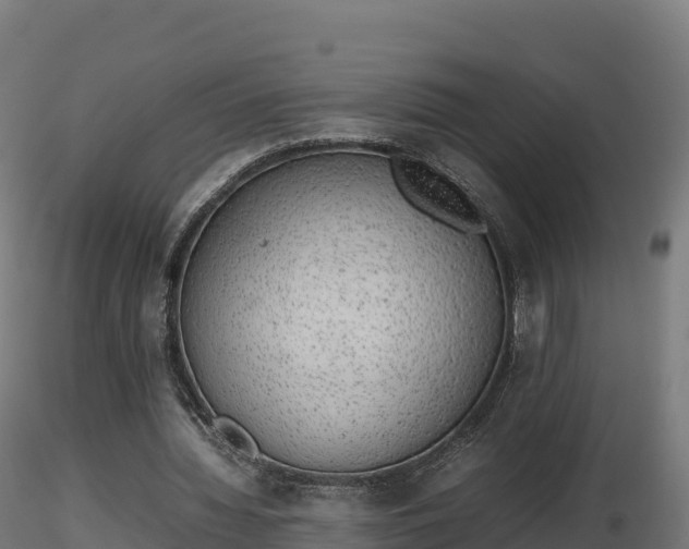 X0000116880436200912291245