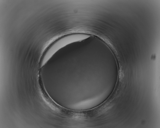 X0000116880438200912291245