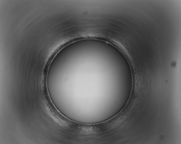 X0000116880439200912291245
