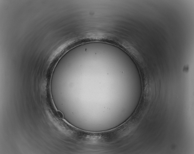 X0000116880440200912291245