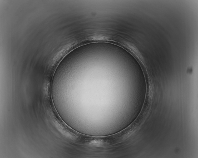 X0000116880441200912291245