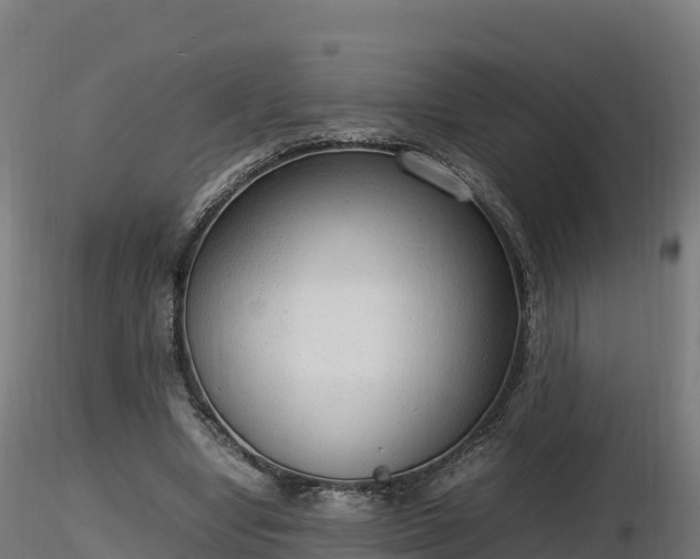 X0000116880442200912291245