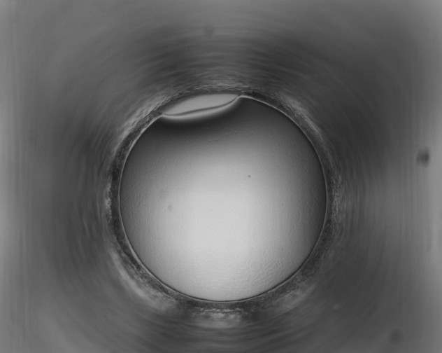 X0000116880443200912291245