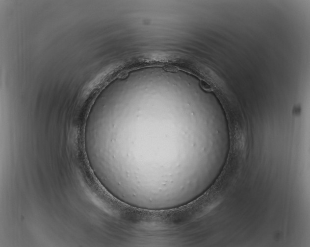 X0000116880444200912291245