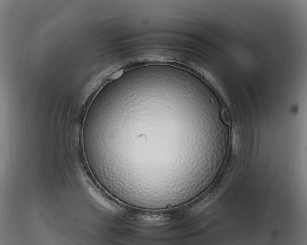 X0000116880445200912291245