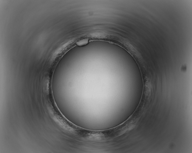 X0000116880446200912291245