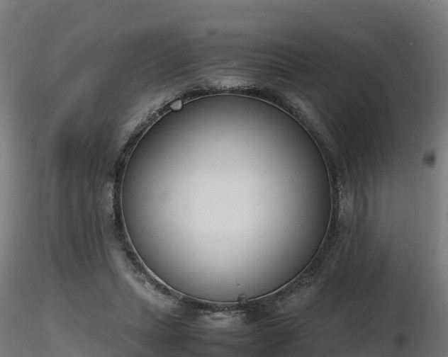X0000116880447200912291245