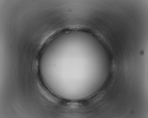 X0000116880448200912291245