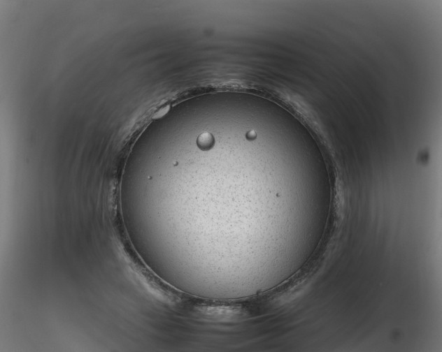 X0000116880449200912291245