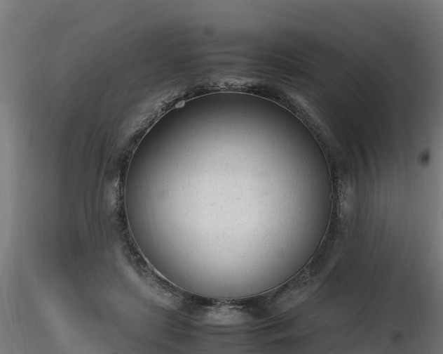X0000116880451200912291246
