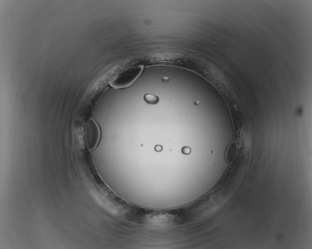 X0000116880452200912291246