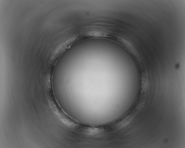 X0000116880453200912291246